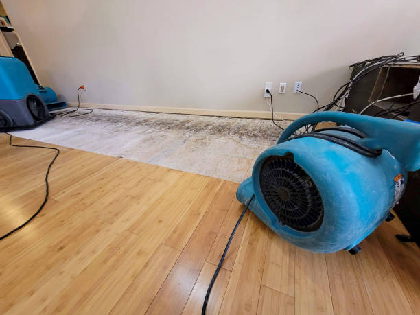 Reliable Basement Flood Cleanup contractor in Allentown, PA by Hirex Water Damage