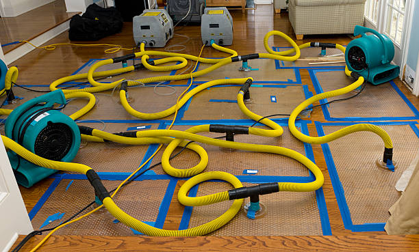 Professional Basement Flood Cleanup technician working in Allentown, PA